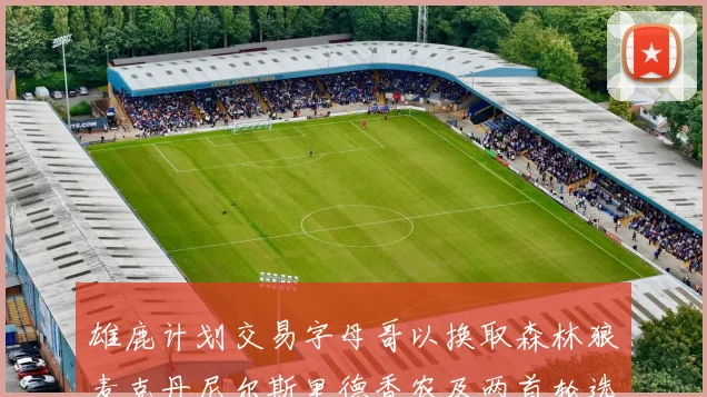 雄鹿计划交易字母哥以换取森林狼麦克丹尼尔斯里德香农及两首轮选秀权